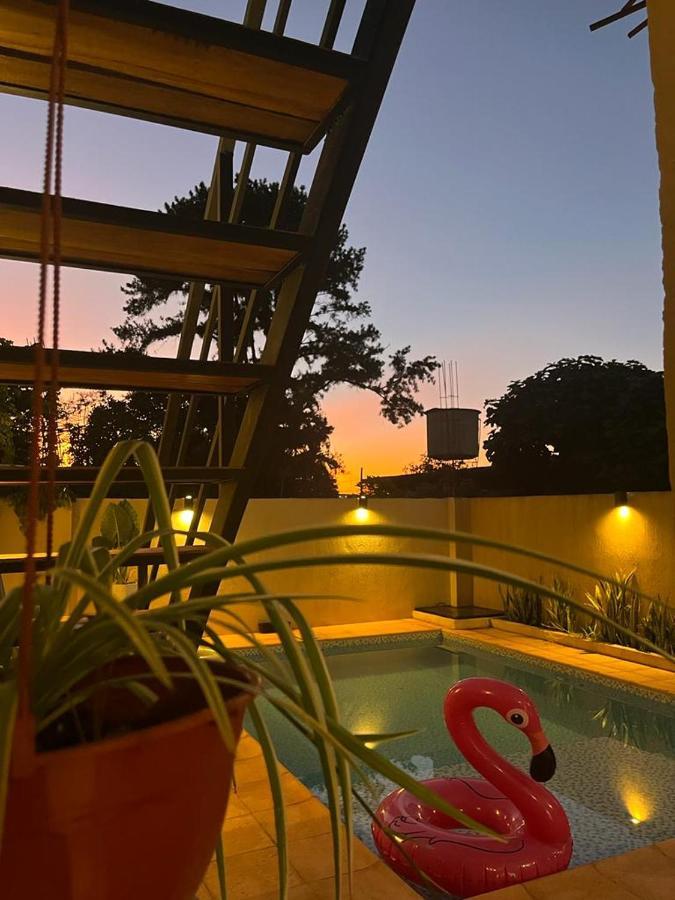 Colibrí Hostel Puerto Iguazú Exterior foto